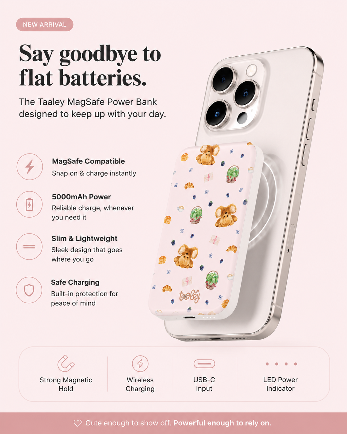 Teddy Picnic MagSafe Power Bank